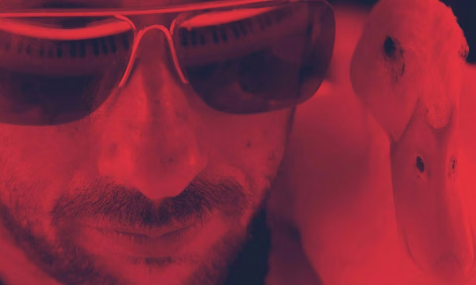 Yes - in sala Nadav Lapid e Luca Guadagnino