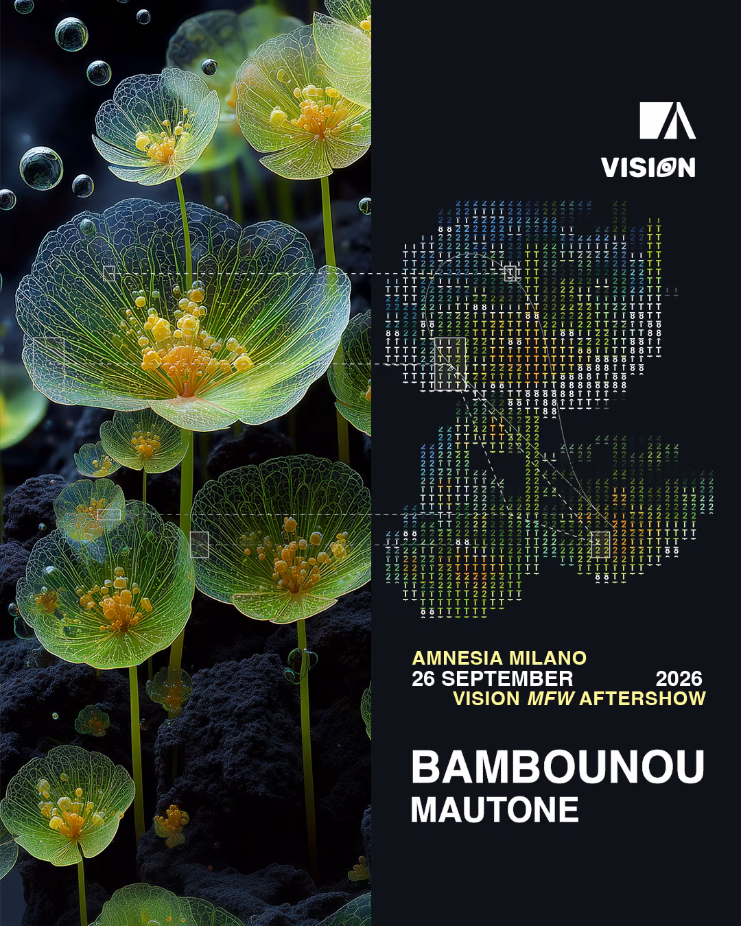 Bambounou, Mautone
