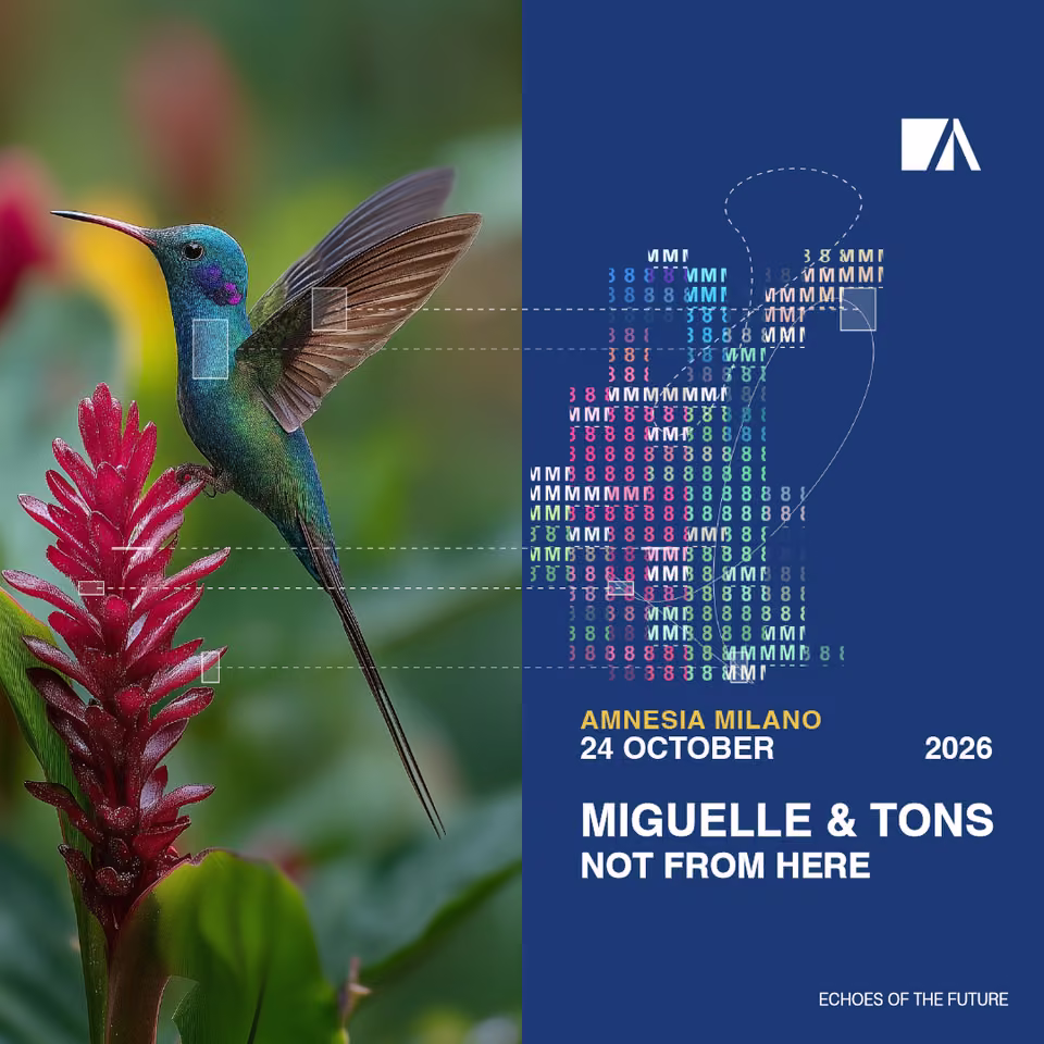 Miguelle & TONS, NOT FROM HERE