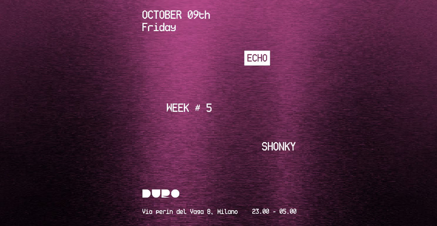 Echo // Shonky
