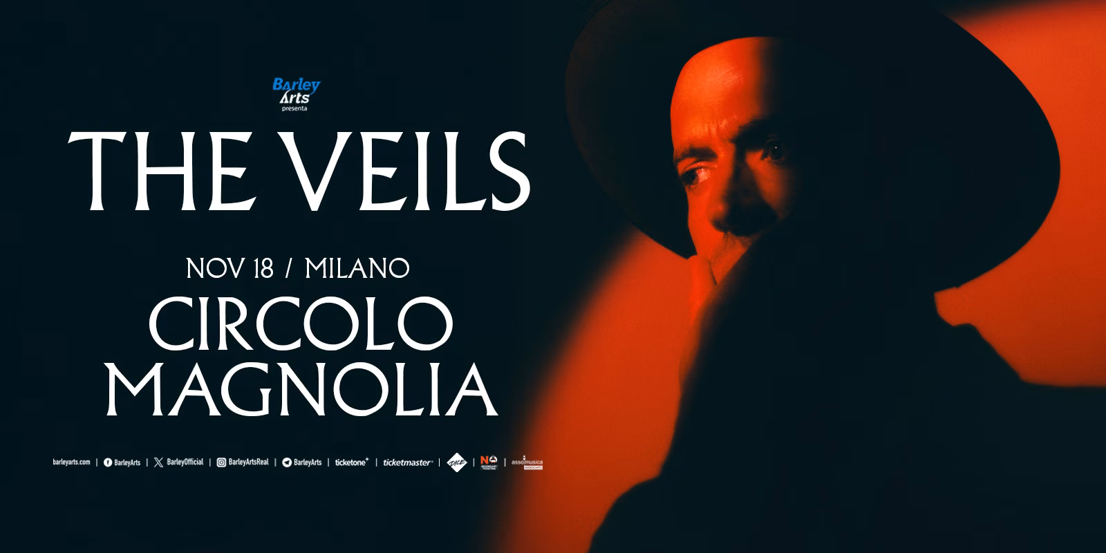 The Veils