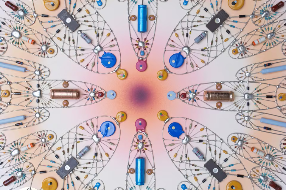FLOWER COLLIDER: Le possibilità possibili