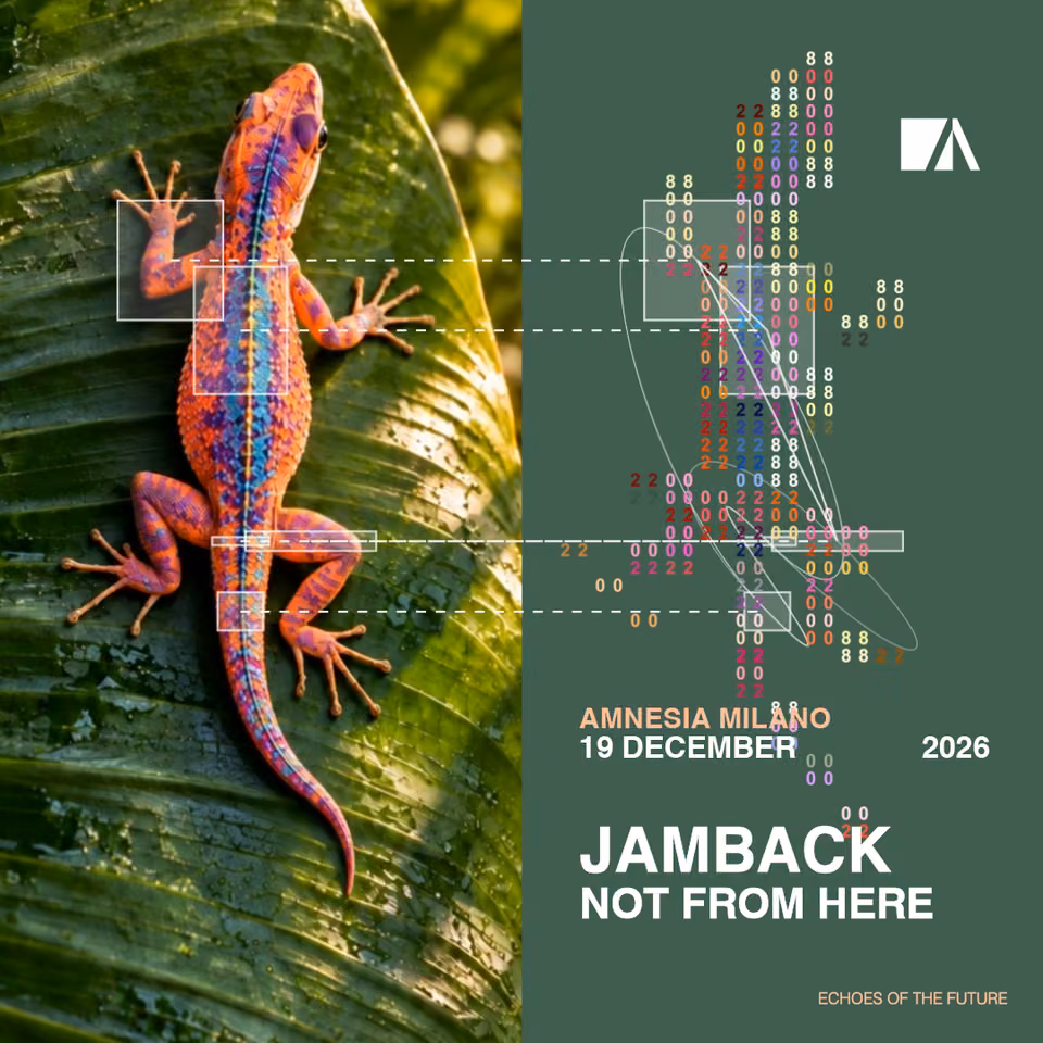 Jamback, Not From Here