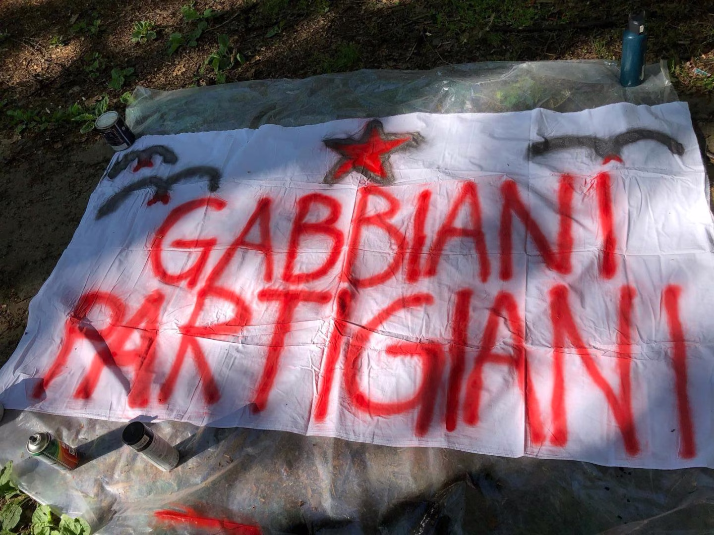 Gabbiani Partigiani