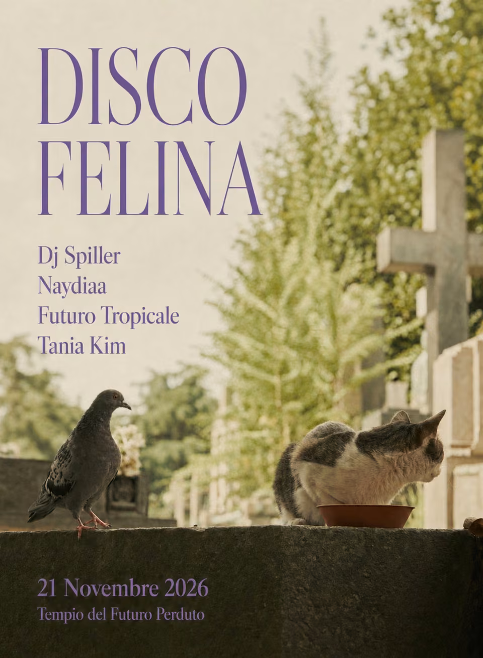DISCO FELINA: Dj Spiller, Futuro Tropicale, Naydiaa, Tania Kim