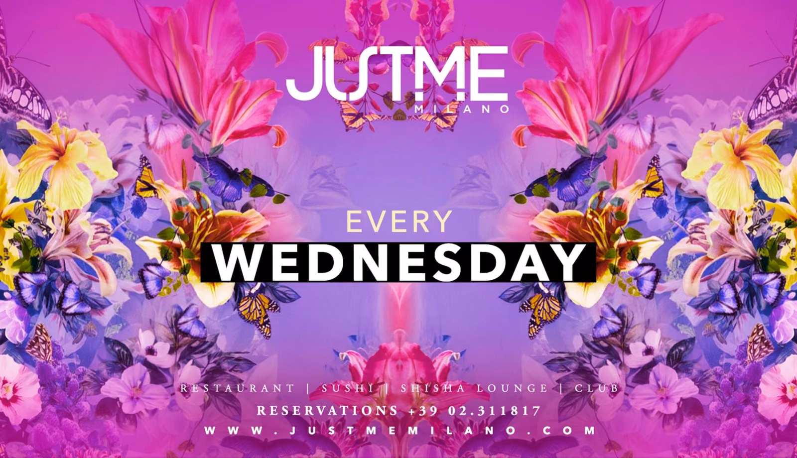 Wednesday Night